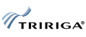 TRIRIGA Inc.